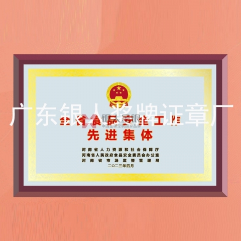河南省政府食品安全工作先進(jìn)集體獎(jiǎng)牌定制 河南省政府食品安全工作先進(jìn)集體獎(jiǎng)牌定制